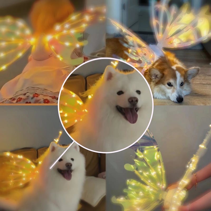 🦋🧚♀Electric Butterfly Elf Wings with Glowing Lights