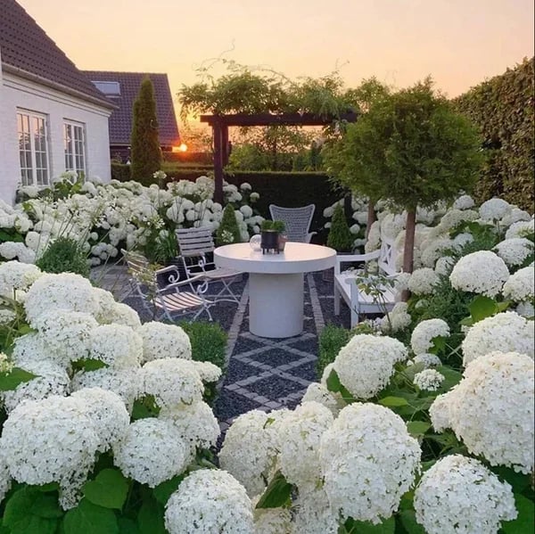 💐Outdoor Artificial Hydrangea Flowers