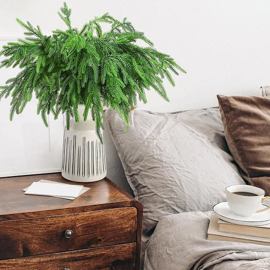 🎄Natural Christmas Greenery-Norfolk Pine Branch