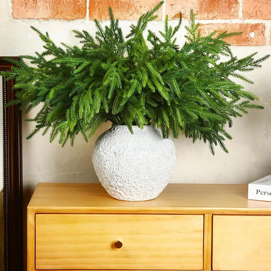 🎄Natural Christmas Greenery-Norfolk Pine Branch