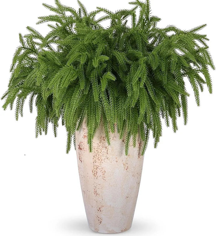 🎄Natural Christmas Greenery-Norfolk Pine Branch