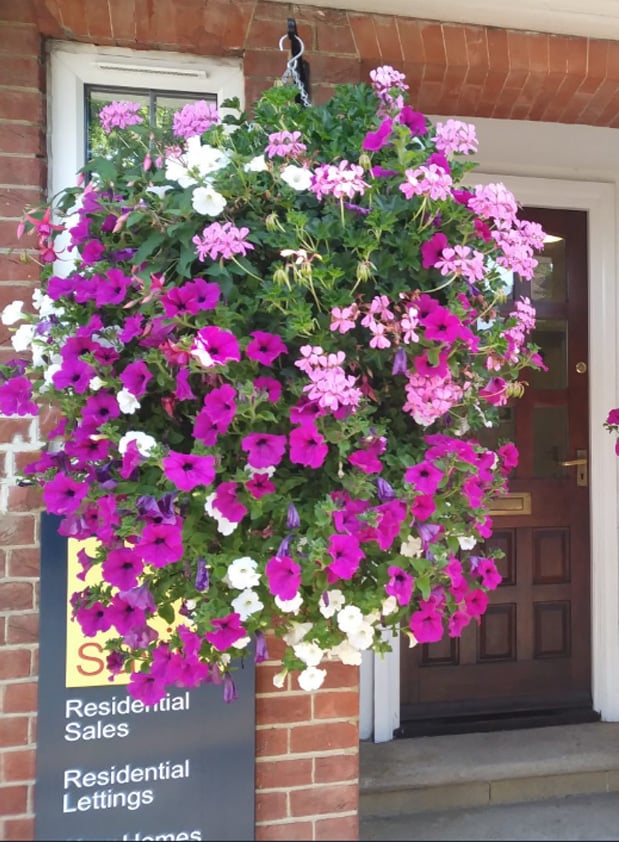 💥This Week's Special Price $19.99🌺UV Simulation Artificial Morning Glory