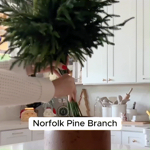 🎄Natural Christmas Greenery-Norfolk Pine Branch
