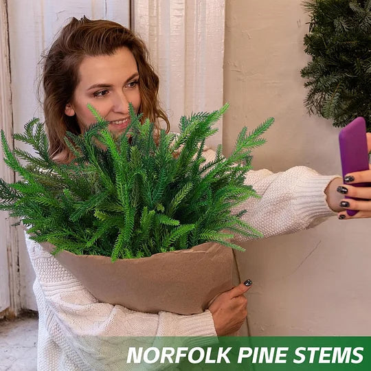 🎄Natural Christmas Greenery-Norfolk Pine Branch