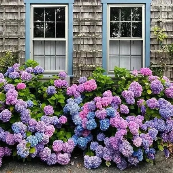 💐Outdoor Artificial Hydrangea Flowers