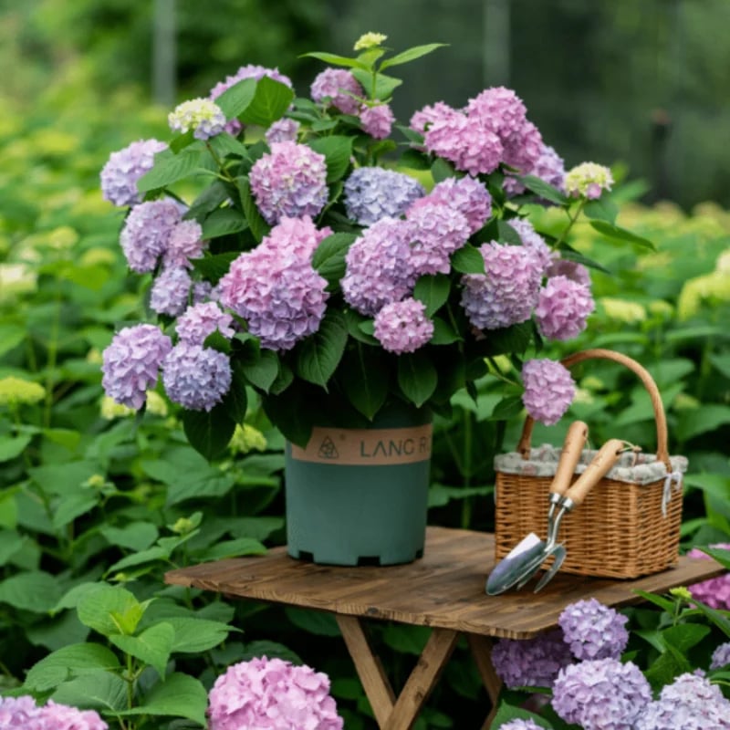 💐Outdoor Artificial Hydrangea Flowers