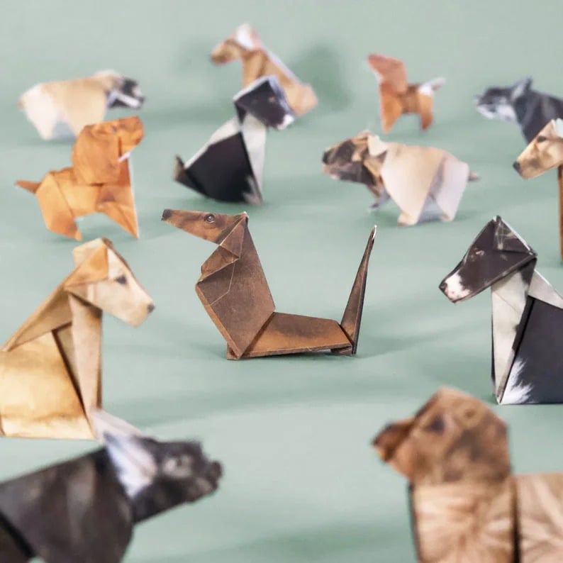 🐱DIY Paper Animals