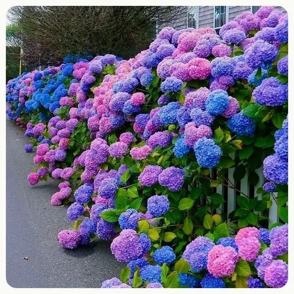 💐Outdoor Artificial Hydrangea Flowers