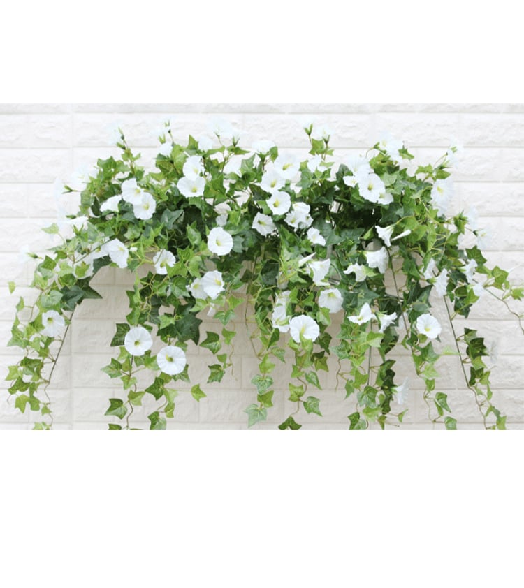 💥This Week's Special Price $19.99🌺UV Simulation Artificial Morning Glory